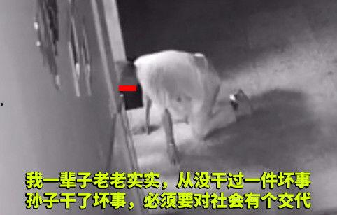 我亲手送装死渣男进火葬场,一段复仇与释然的旅程